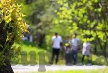 乐鱼体育登陆网-乐鱼体育登陆网，一场体育竞技的盛宴