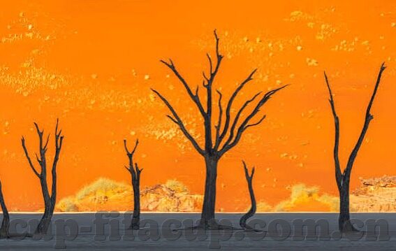 足球探比分足球即时比分-足球探比分，即时比分背后的激情与智慧较量